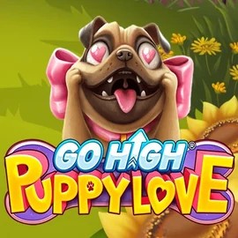 Play Go High Puppy Love slot by RubyPlay on spinaltoie.com